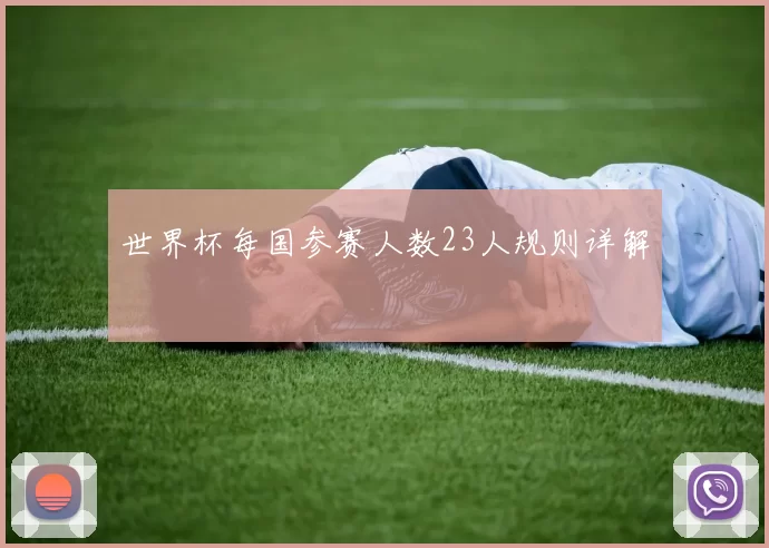 世界杯每国参赛人数23人规则详解