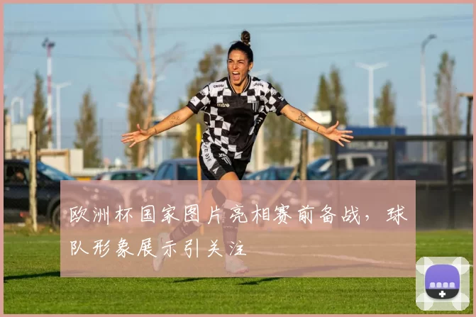 欧洲杯国家图片亮相赛前备战，球队形象展示引关注