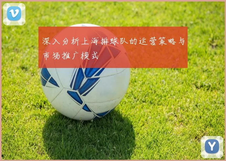 深入分析上海排球队的运营策略与市场推广模式