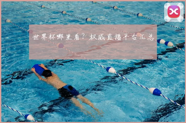 世界杯哪里看？权威直播平台汇总