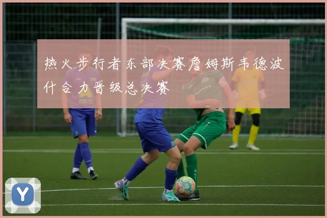 热火步行者东部决赛詹姆斯韦德波什合力晋级总决赛