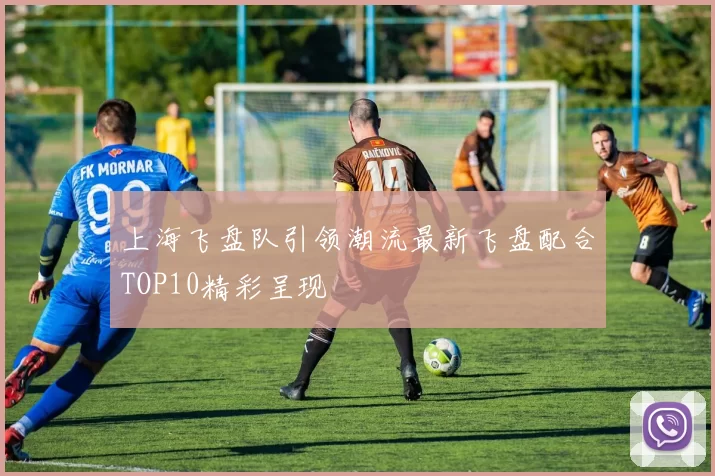 上海飞盘队引领潮流最新飞盘配合TOP10精彩呈现