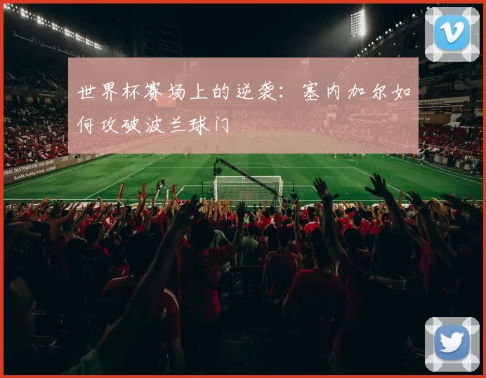 世界杯赛场上的逆袭:塞内加尔如何攻破波兰球门