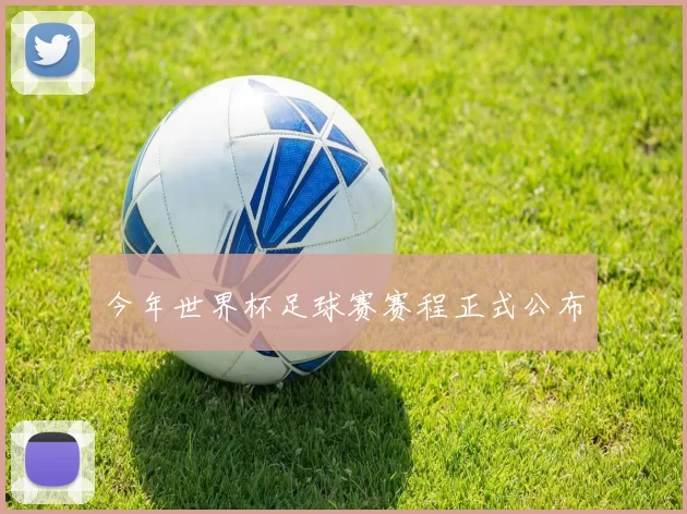 今年世界杯足球赛赛程正式公布