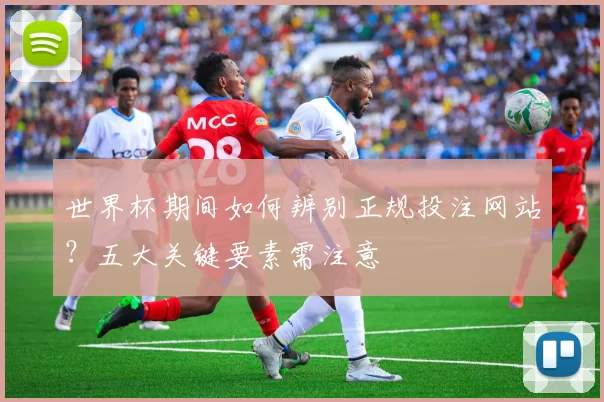 世界杯期间如何辨别正规投注网站?五大关键要素需注意