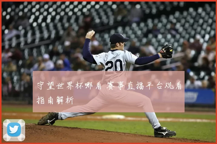 守望世界杯哪看 赛事直播平台观看指南解析