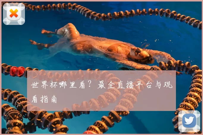 世界杯哪里看？最全直播平台与观看指南
