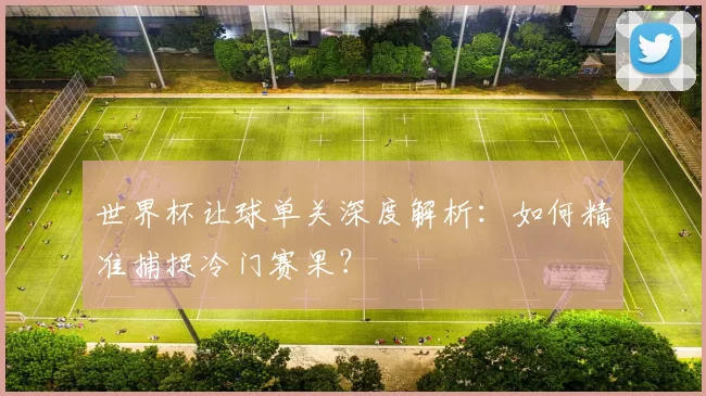 世界杯让球单关深度解析：如何精准捕捉冷门赛果？