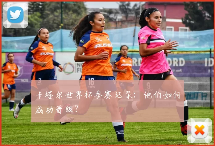卡塔尔世界杯参赛记录:他们如何成功晋级?