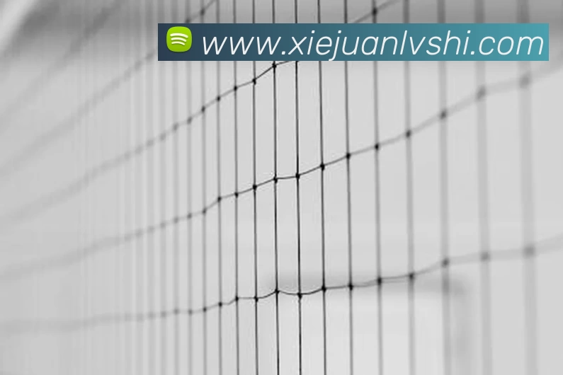 华体会APP 封面图